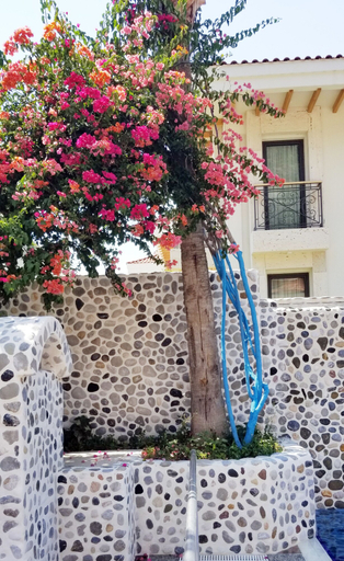 Exterior & Views 2, Tonoz Beach Hotel, Fethiye