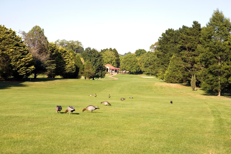 Others 5, The Dormie House - On The Golf Course, Wingecarribee