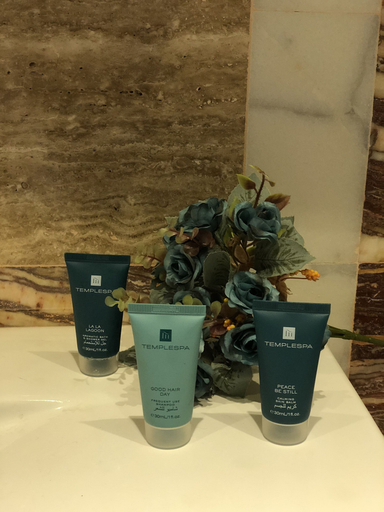 Others 5, Baku Luxury Hotel, Baku