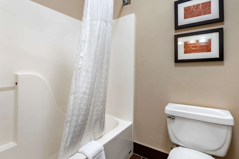 Bathroom 4, Comfort Suites Columbus West - Hilliard, Franklin