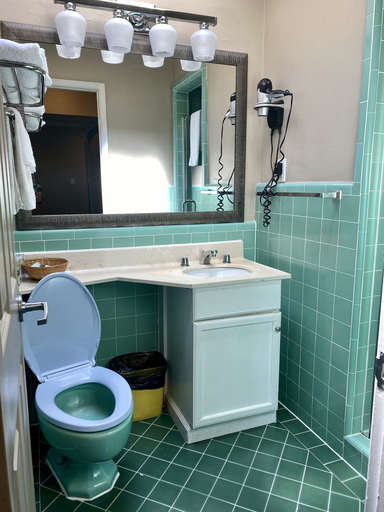 Bathroom 4, Motel Capri, San Francisco