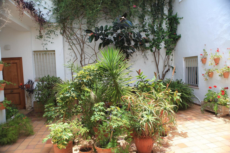 Others 5, Hotel El Coloso, Cádiz