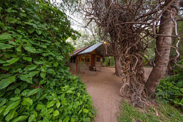 Exterior & Views 2, Kunene River Lodge, Epupa