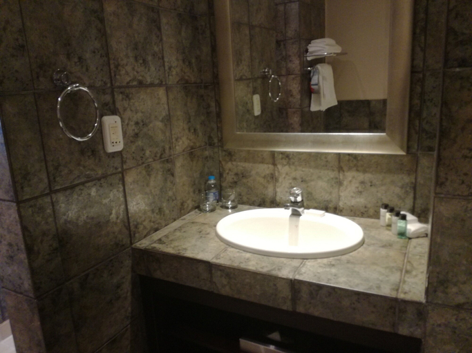 Bathroom 5, Southern Sun Katherine Street, City of Johannesburg