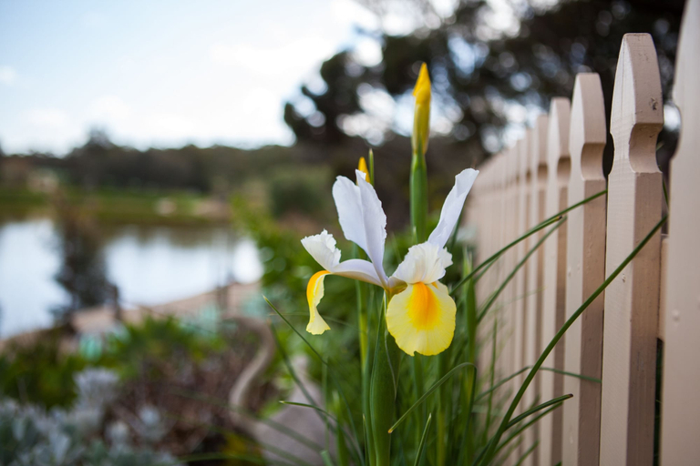 Sport & Beauty, Stonewell Cottages & Vineyards, Light