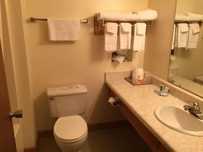 Bathroom, Rodeway Inn Lake Placid South, Essex
