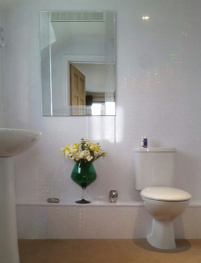 Bathroom 4, Pantysgyfarnog, Carmarthenshire