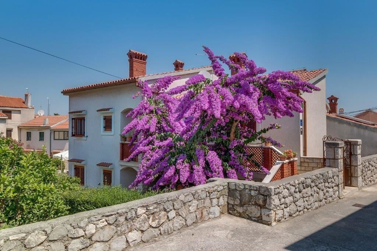 Exterior & Views 1, Apartment Bugenvilia, Mali Lošinj