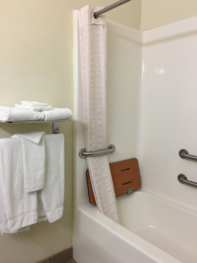 Bathroom 4, Microtel Inn & Suites by Wyndham Indianapolis Airport, Indianapolis