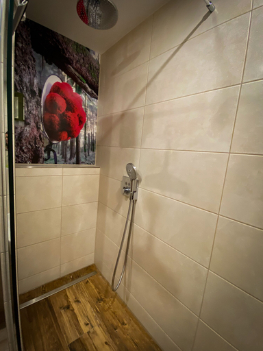 Bathroom 3, Landhotel Jostalstüble, Breisgau-Hochschwarzwald
