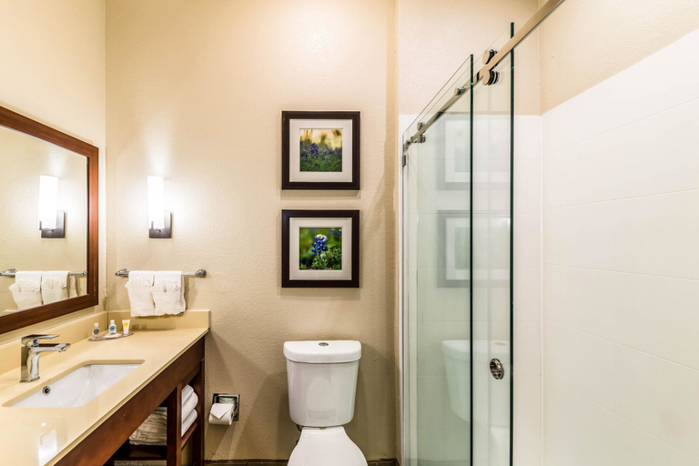 Bathroom 4, Comfort Suites Grand Prairie - Arlington North, Arlington