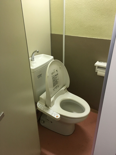 Bathroom 4, Hotel Diamond, Osaka