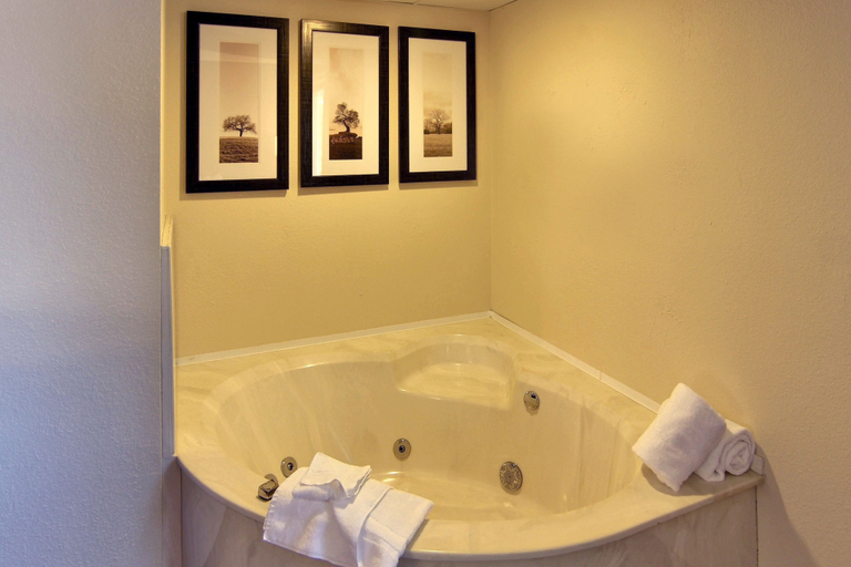 Bathroom 5, Blossom Hotel & Suites Traverse City, Grand Traverse