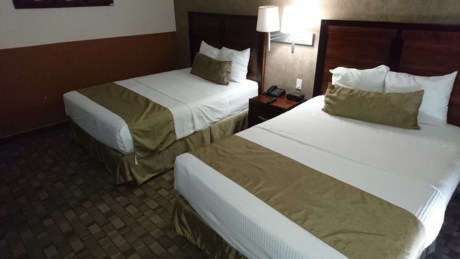 Bedroom 3, Comfort Inn Chihuahua, Chihuahua