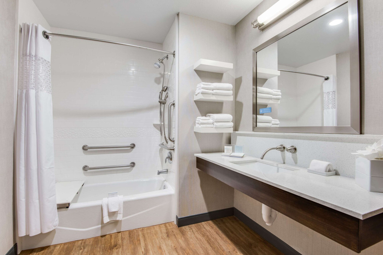 Bathroom 4, Hampton Inn & Suites Dallas/Ft. Worth Airport South, Fort Worth