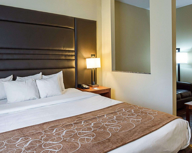 Bedroom 3, Comfort Suites near Tanger Outlet Mall, Ascension