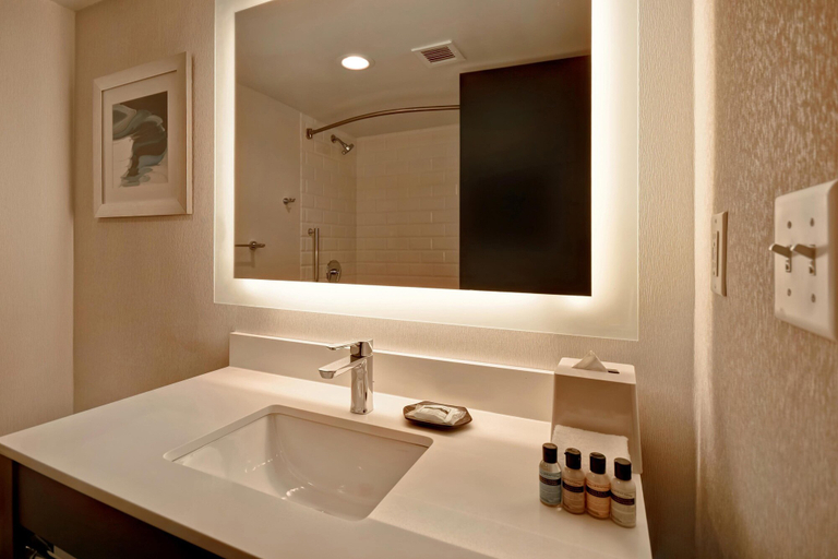 Bathroom 4, Four Points by Sheraton Boston Newton, Middlesex