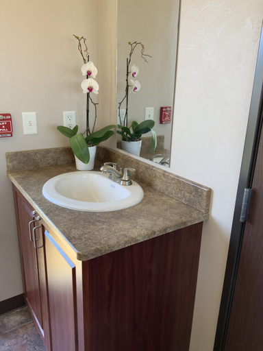 Bathroom 5, Karbani Inn, Eddy