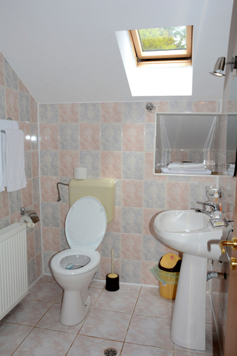 Bathroom 5, Casa Ana, Sinaia