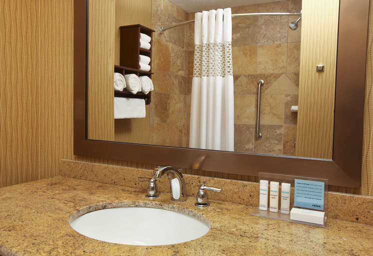 Bathroom 4, Hampton Inn & Suites by Hilton Fargo Medical Center, Cass