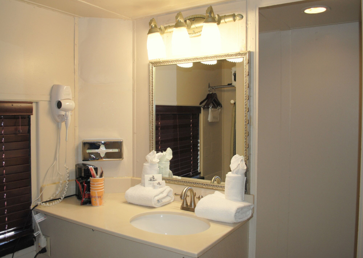 Bathroom 5, Chattanooga Choo-Choo, Hamilton