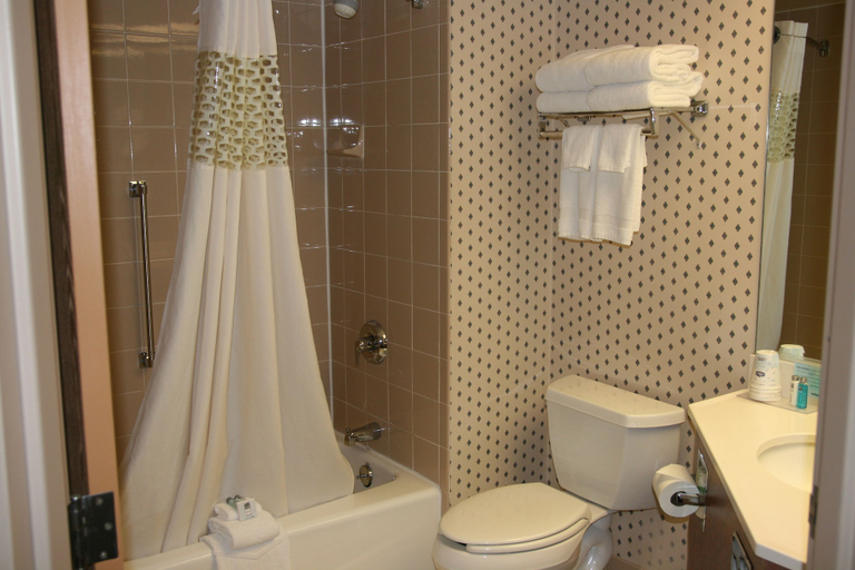 Bathroom 4, Hampton Inn Sioux Falls, Minnehaha