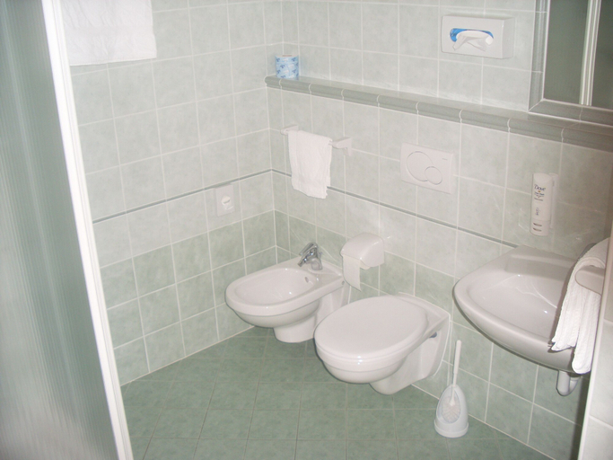 Bathroom 4, Garnì Lago Alpino, Trento