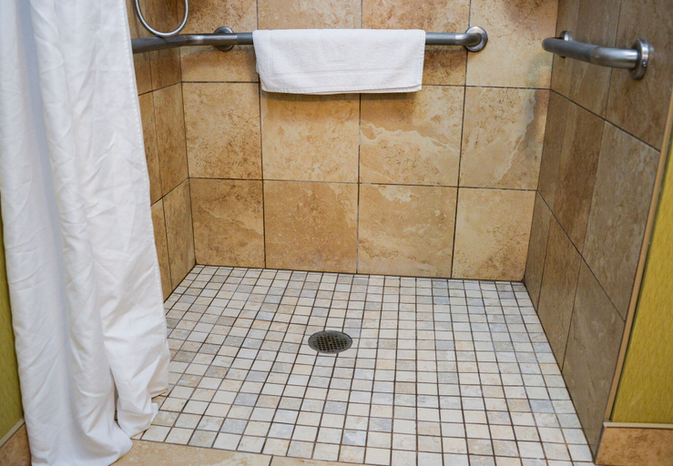 Bathroom 5, Hampton Inn Frankfort, Franklin