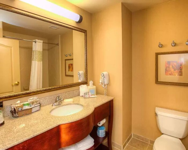 Bathroom 4, Hampton Inn & Suites Mountain Home, Elmore