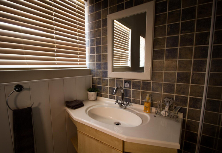 Bathroom 3, House on Olof Palme, Windhoek East
