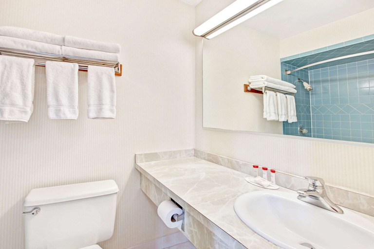 Bathroom 4, Ramada by Wyndham Flemington, Hunterdon