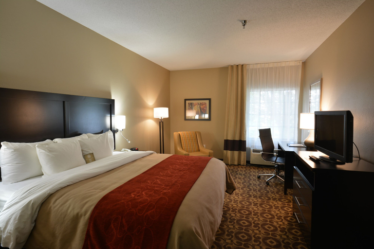Bedroom 4, Comfort Inn & Suites Trussville I-59 exit 141, Jefferson