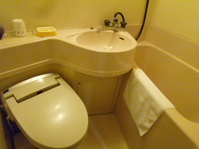 Bathroom 4, Hotel Yoshino, Itō
