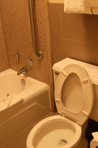 Bathroom 5, Quality Inn Americus, Sumter