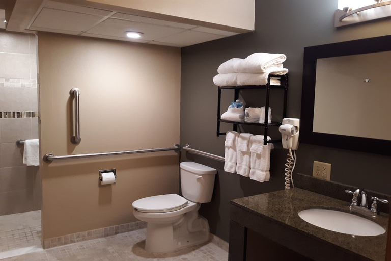Bathroom 3, The Dakota, Minnehaha