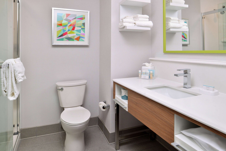Bathroom 4, Hampton Inn Tampa Downtown Channel District, Hillsborough