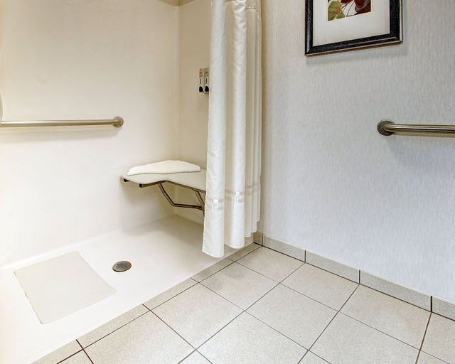 Bathroom 5, Phoenix Inn Suites - Albany, Linn