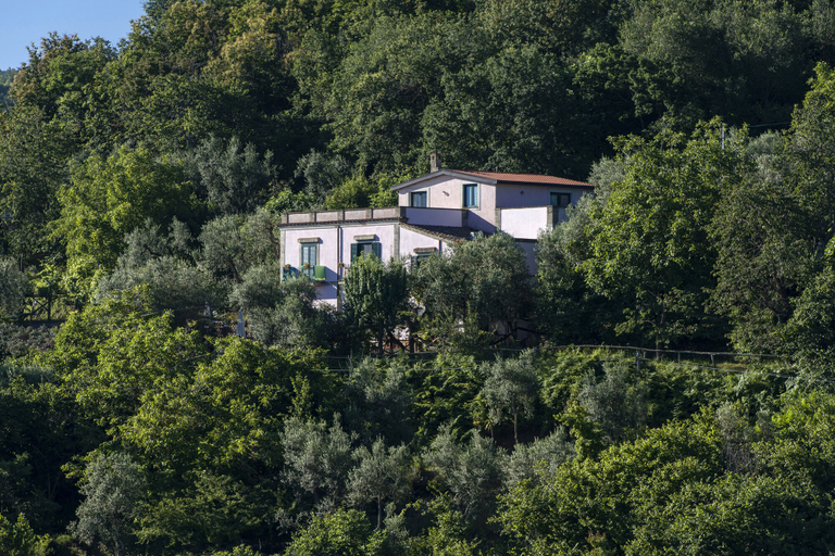 Exterior & Views 2, Il Casale Sorrento, Napoli
