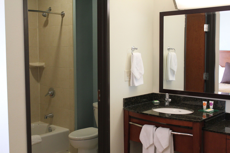 Bathroom 4, Hyatt Place Dallas/Garland/Richardson, Dallas