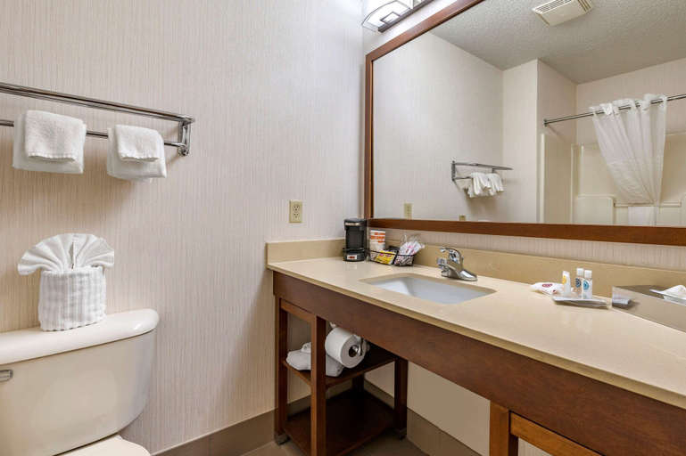 Bathroom 4, Comfort Suites Elkhart North, Elkhart