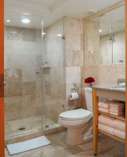 Bathroom 4, Alteza Polanco, Mexico City