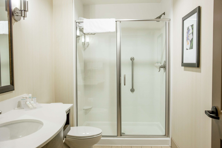 Bathroom 4, Hilton Garden Inn Milwaukee Downtown, Milwaukee