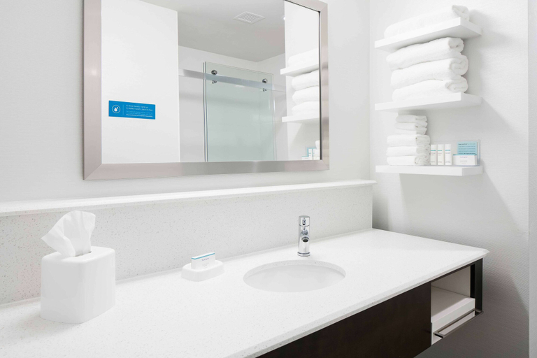 Bathroom 4, Hampton Inn & Suites Hudson, Saint Croix