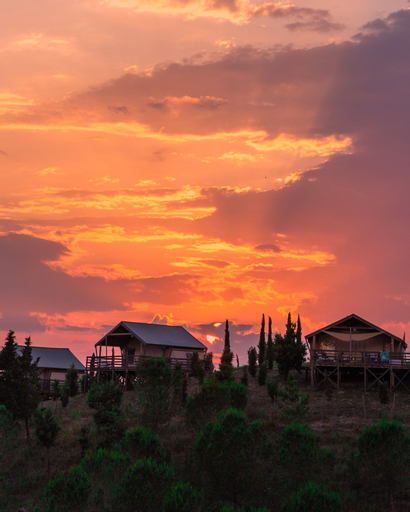 Glamping Diacceroni, Pisa