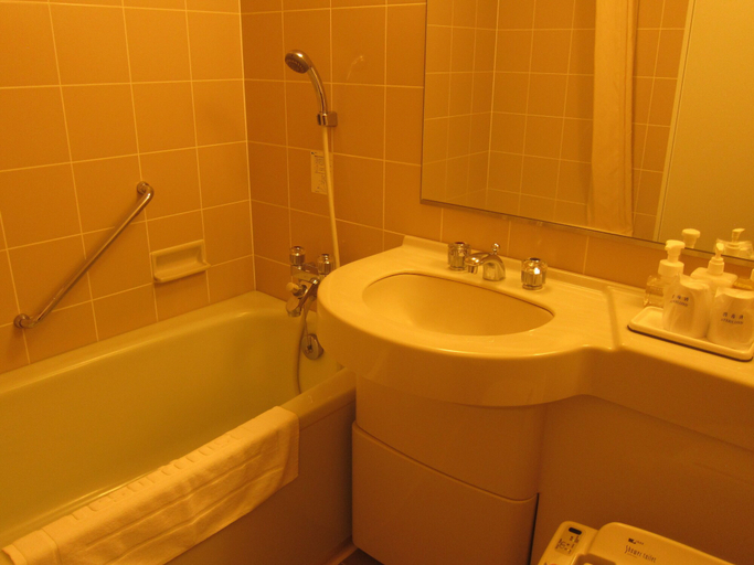 Bathroom 4, Sun Members Hirugano, Gujō