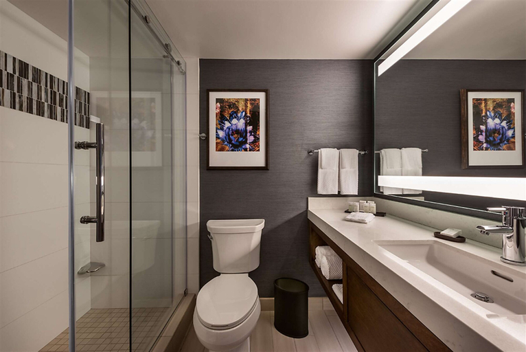 Bathroom 4, Embassy Suites by Hilton Scottsdale Resort, Maricopa