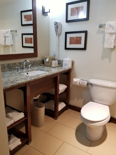 Bathroom 4, Comfort Suites Farmington, San Juan