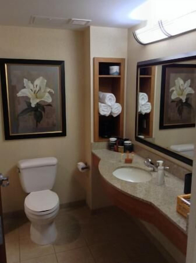 Bathroom 4, Hollywood Casino Bangor, Penobscot