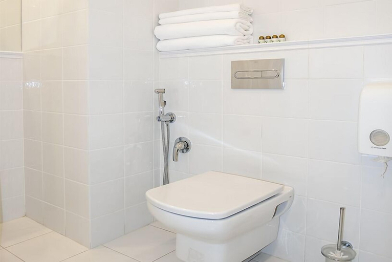 Bathroom 2, Apart-Hotel Naumov Lubyanka, Central