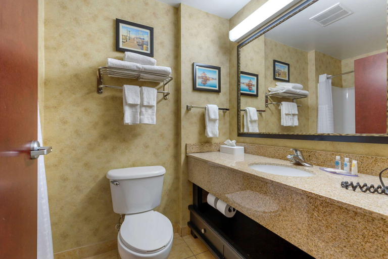 Bathroom 5, Comfort Inn & Suites Cambridge, Dorchester